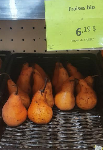 Fichier:Image(29).png